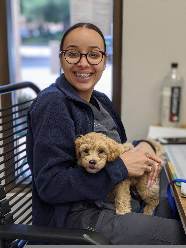 dog, veterinarian, veterinary clinic-5969008.jpg